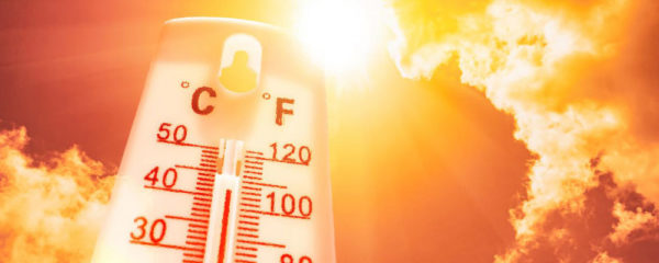 réchauffement climatique