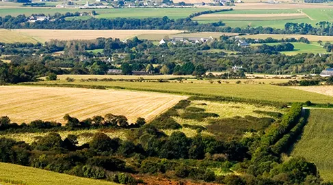 Agriculture-en-Bretagne