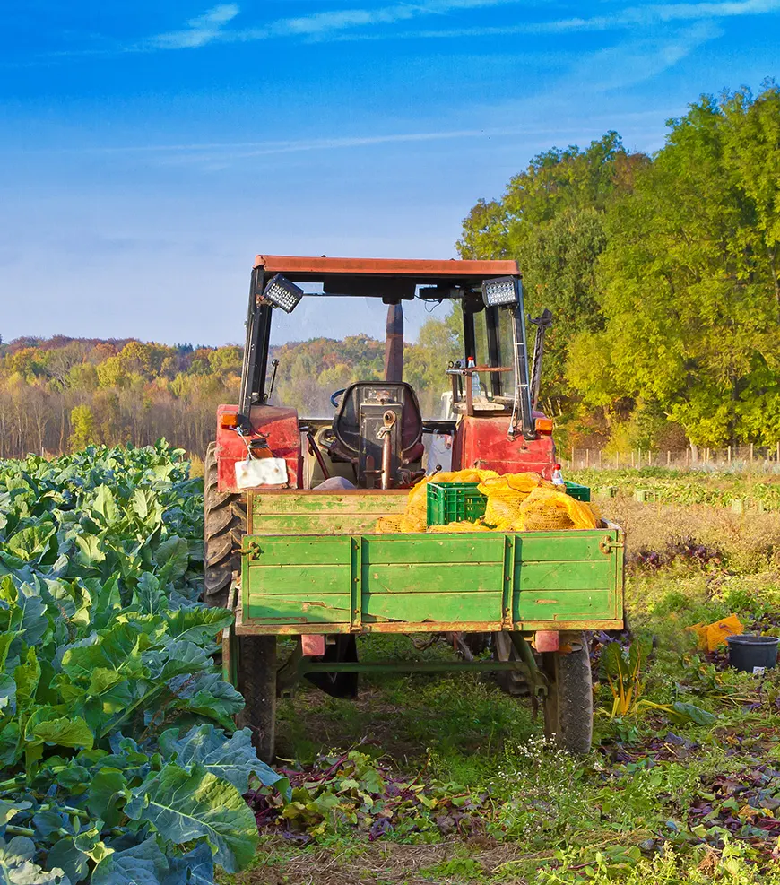 agriculture-biologique